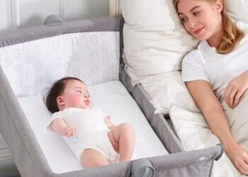 LOS LIMITES DEL COLECHO