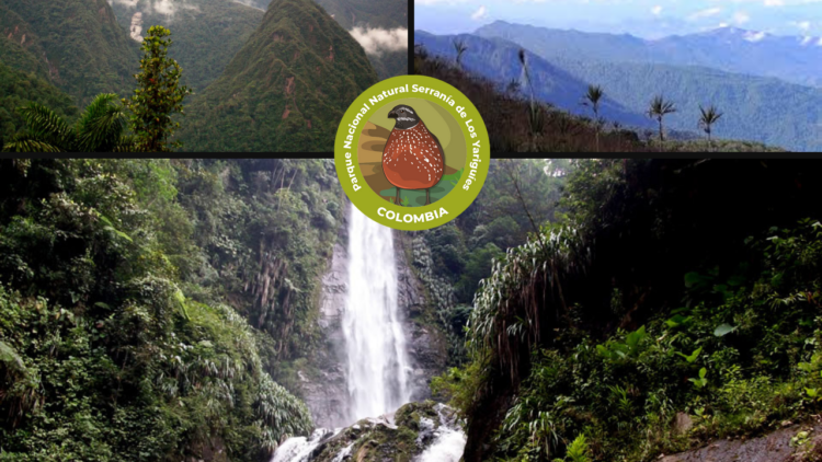 Serranía Yariguíes